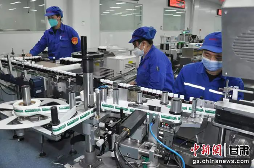 【集团要闻】“药”守护你！甘肃药业集团按下“快进键”开足马力保供应