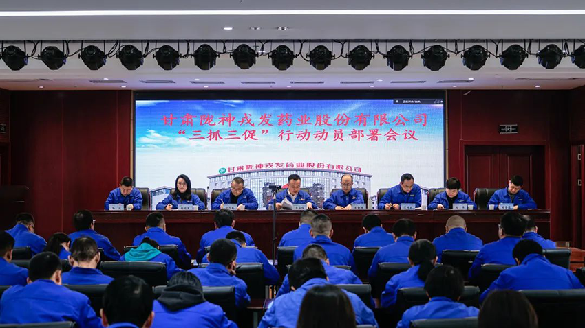 【“三抓三促”进行时】陇神戎发召开“三抓三促”行动动员部署会议
