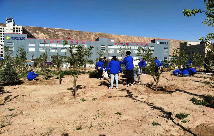 【“三抓三促”进行时】义务劳动，美化厂区，你我同行