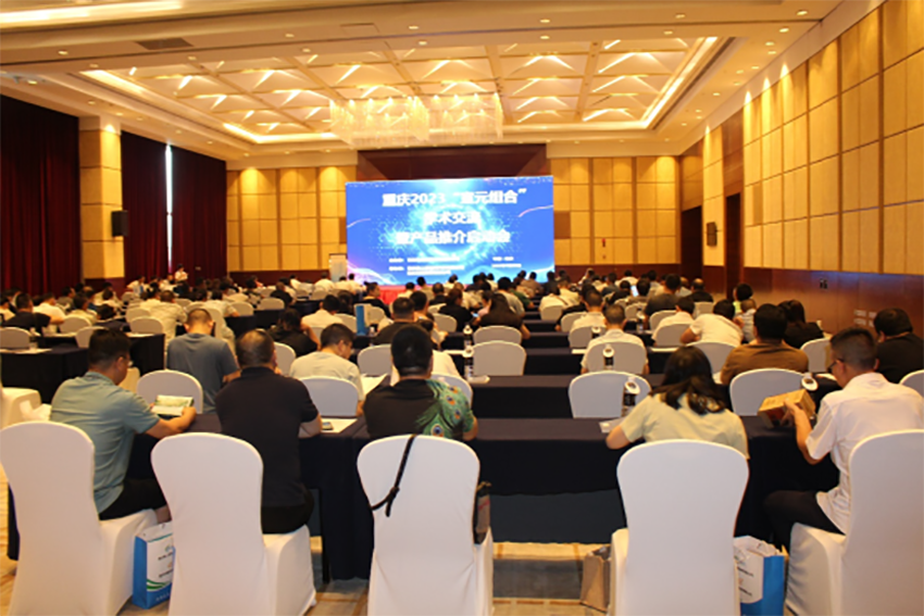 【神康医药】岐黄好药在甘药，美丽山城话宣元