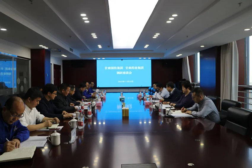 甘肃国投集团一行深入陇神戎发调研指导工作