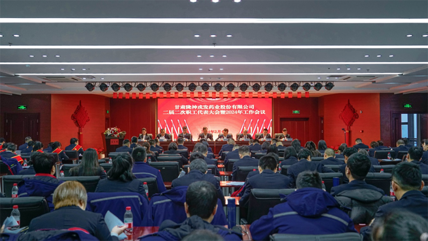 奋战开门红｜陇神戎发：锚定目标抓落实，砥砺前行谱新篇，奋力开创高质量发展新局面