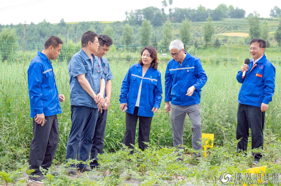政企共建促发展 甘肃药业集团牵头助力乡村振兴