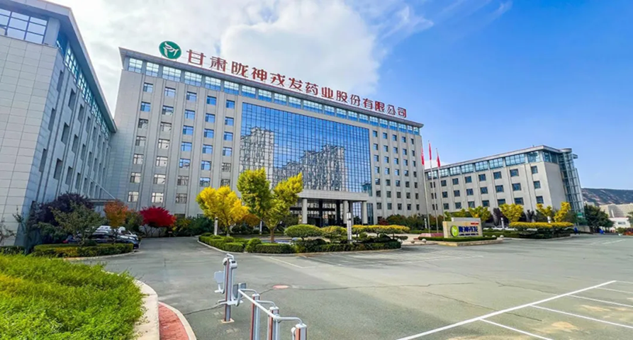 党建引领 凝聚高质量发展强劲动能——陇神戎发以“红色引擎”驱动企业行稳致远