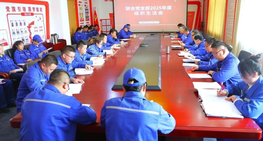 【普安新闻】严肃党内政治生活 凝聚生产攻坚合力丨联合支部2025年度组织生活会暨民主评议党员大会顺利召开